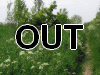 OUT