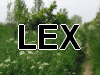 LEX